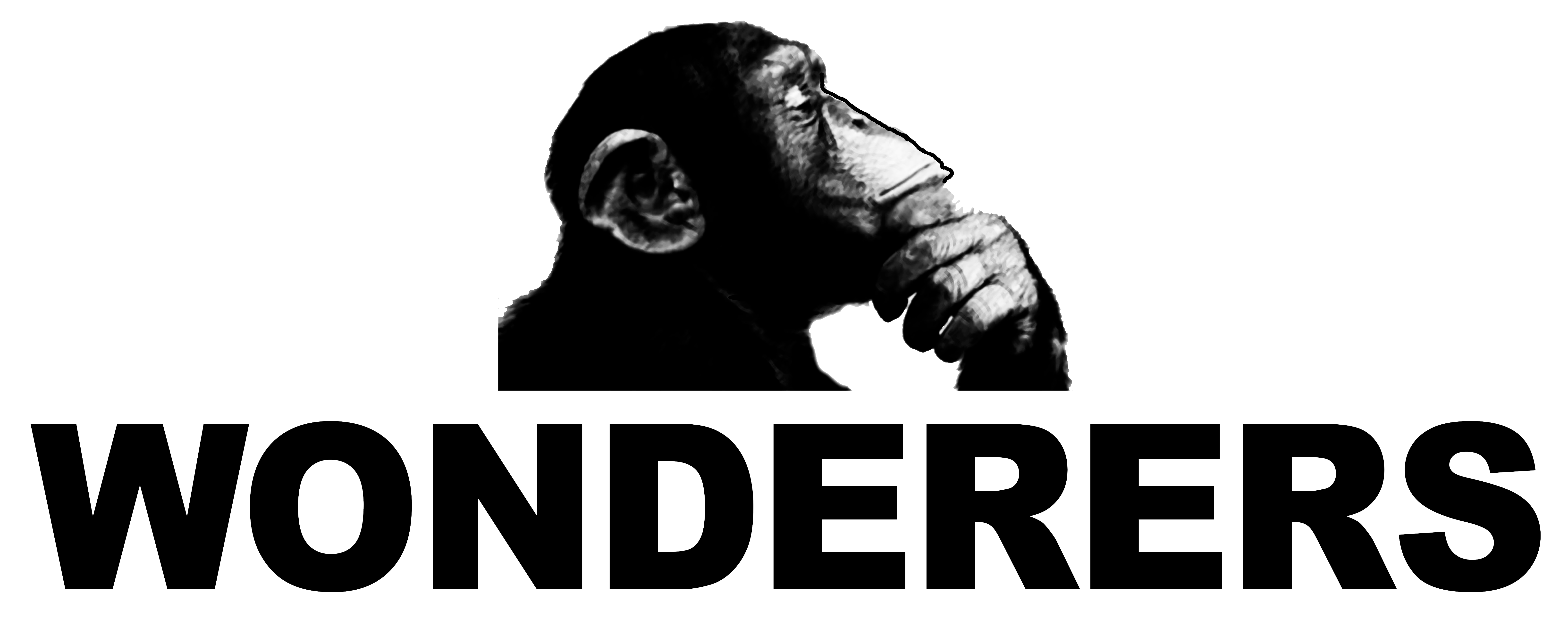 Logotipo Wonderers